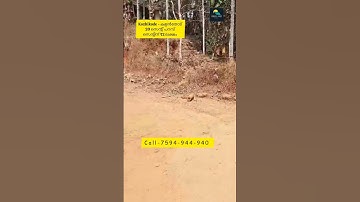 Kozhikode Mukkam 20 cent House Plot For Slae കോഴിക്കോട് മുക്കം 20 സെന്റ് പറമ്പ് ഹൗസ് പ്ലോട്ട്