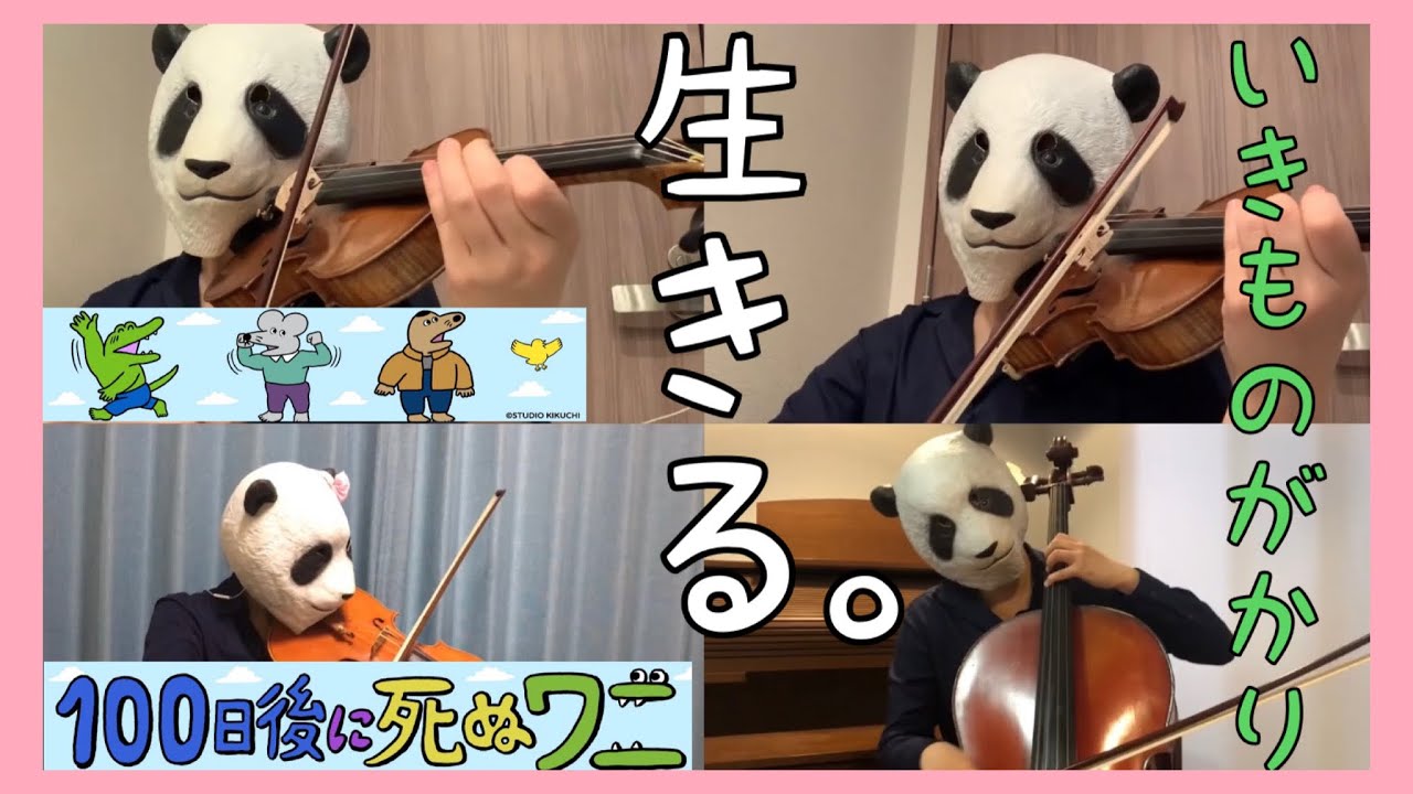 Pachelbel Canon パッヘルベルのカノン バイオリン チェロ ビオラ Youtube