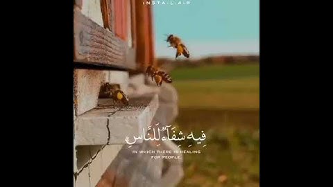 قرآن كريم بصوت #عبدالرحم_السديس/ حالات واتس اب دينية💞 - اجمل مقاطع قصيرة دينية 🌹استوريات انستا❤