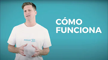 Como funciona o sistema Park Assist?
