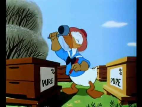 Donald Duck - Der Honigdieb (German)
