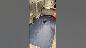 Polyurethane Waterproof Coating 