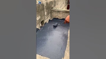 Polyurethane waterproof coating