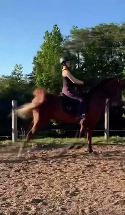 KELLY😻@Kelly_eq #rideformarlie #rideforbuddy #rideforlola #rideforruby #rideforfreebs #rideforbandit