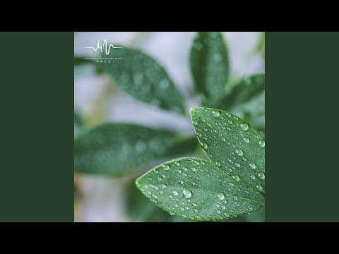 Ver 远方之音 (催眠曲) en YouTube