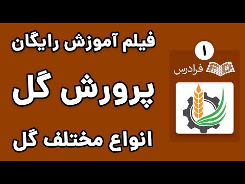 تصویری: گلهای پیازی برای باغ (40 عکس): نام گیاهان چند ساله. کاشت پاییزی گیاهان در تخت گل. چشمه پیاز کوچک و گونه های دیگر