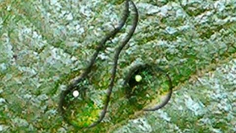 Photoshop Tutorial: WATER DROPS! How to make them look real.