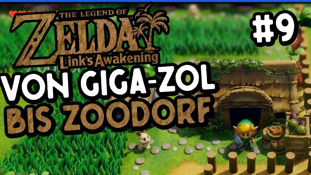 Zelda Link's Awakening 🌴🥥🛡️ Teil.9 Von GigaZol bis Zoodorf YouTube