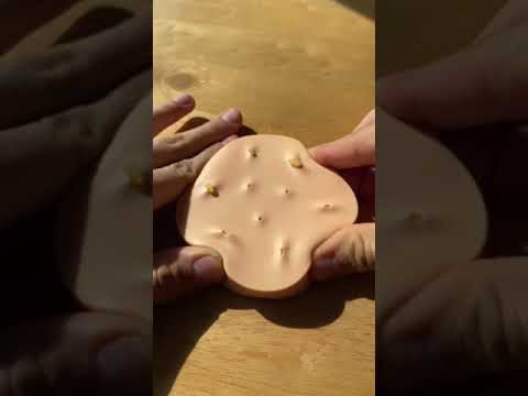 Satisfying Pimple Popper toy #shorts