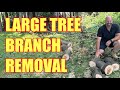 CUTTING DOWN A HUNG UP BRANCH IN A LARGE TREE