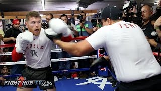 CANELO UNLEASHES 20 PUNCH COMBO ON MITTS! FULL MITT WORKOUT VIDEO