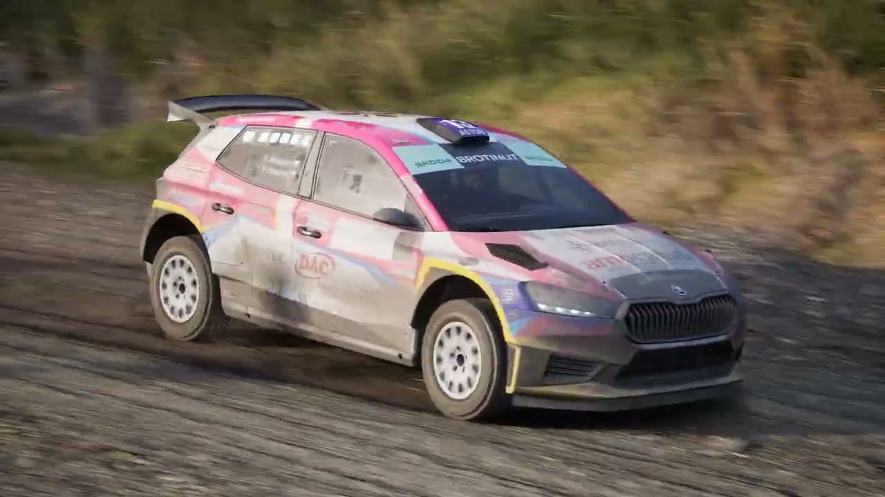 Assetto Corsa Rally _Logitech g 29