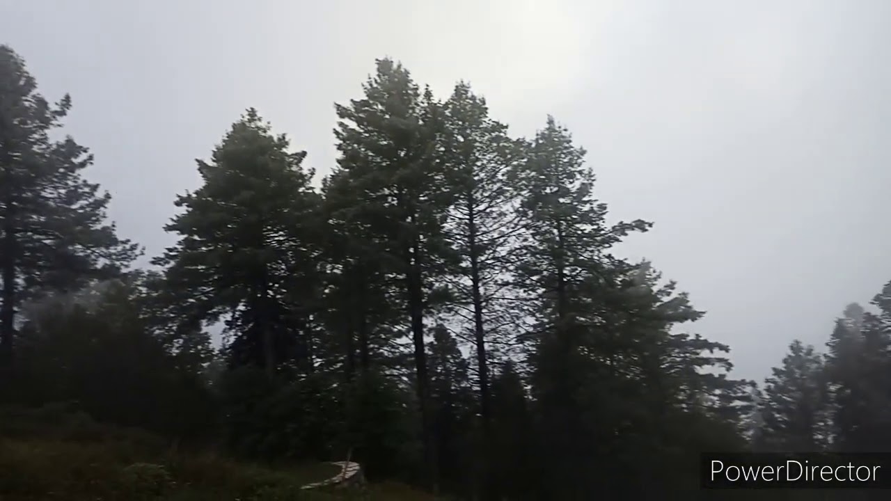 Beautiful Thandiani Forest Rest House