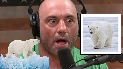 The Darkest Story Joe Rogan has Ever Heard *Ruthless Polar Bears*