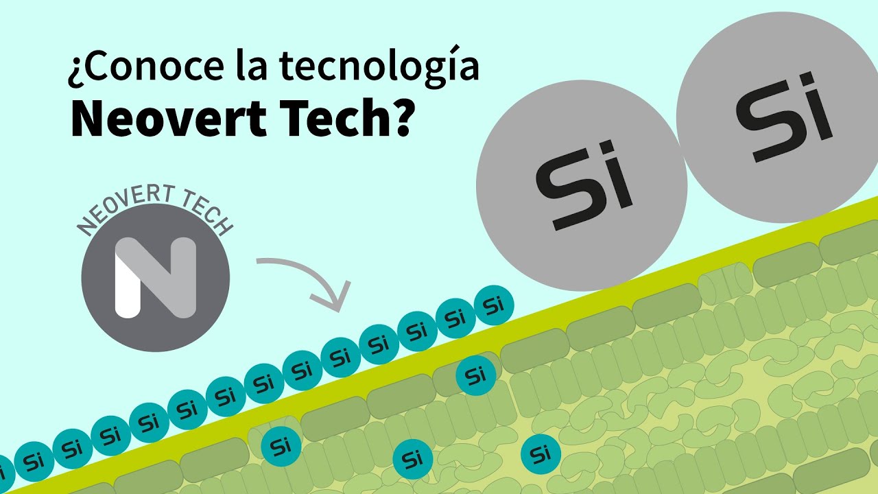 Bioestimulantes con alta concentración · Tecnologia Neovert tech - YouTube