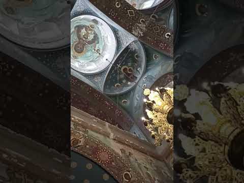 На всë воля