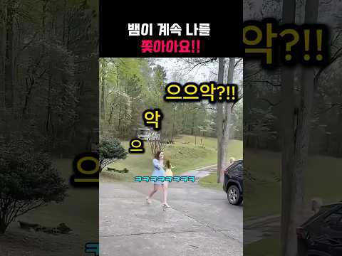뱀이 계속 쫓아와요!! thumbnail