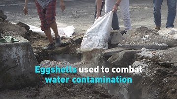 Environmentalists use eggshells to fight water contamination