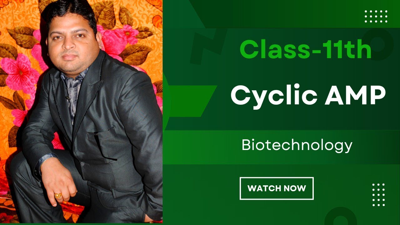 cAMP Signalling pathway cAMP Mechanismcyclic amp YouTube