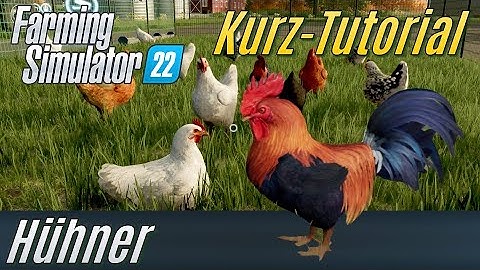 LS22 Kurz-Tutorial: Hühner (für Einsteiger)