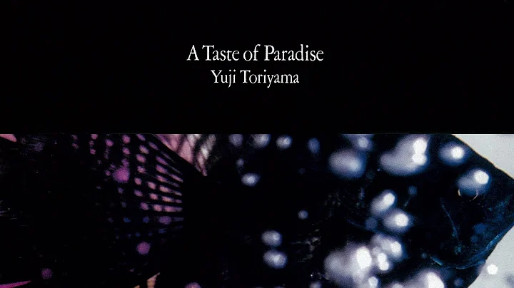 Yuji Toriyama - A Taste of Paradise (album)