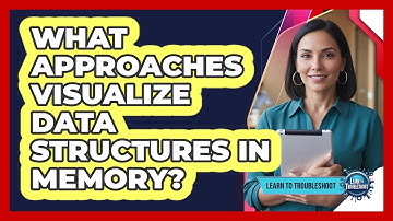 What Approaches Visualize Data Structures in Memory?
