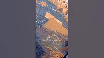 لو باقي عليا بلاش تبعد ولا تنساني محمد سعد 
