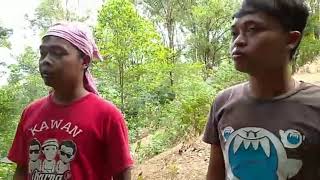 PENARIKAN PUSAKA JENGGOT