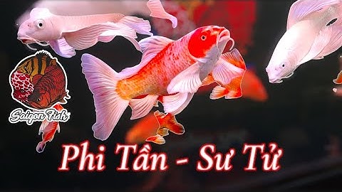 ngày 2 tháng 12, 2024