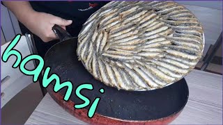 سمك الحمصي hamsi بالطريقة التركية بسيطة طريقة للقلي سهلة و سريعة