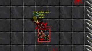 Tibia - Arena - Greenhorn level - Selena