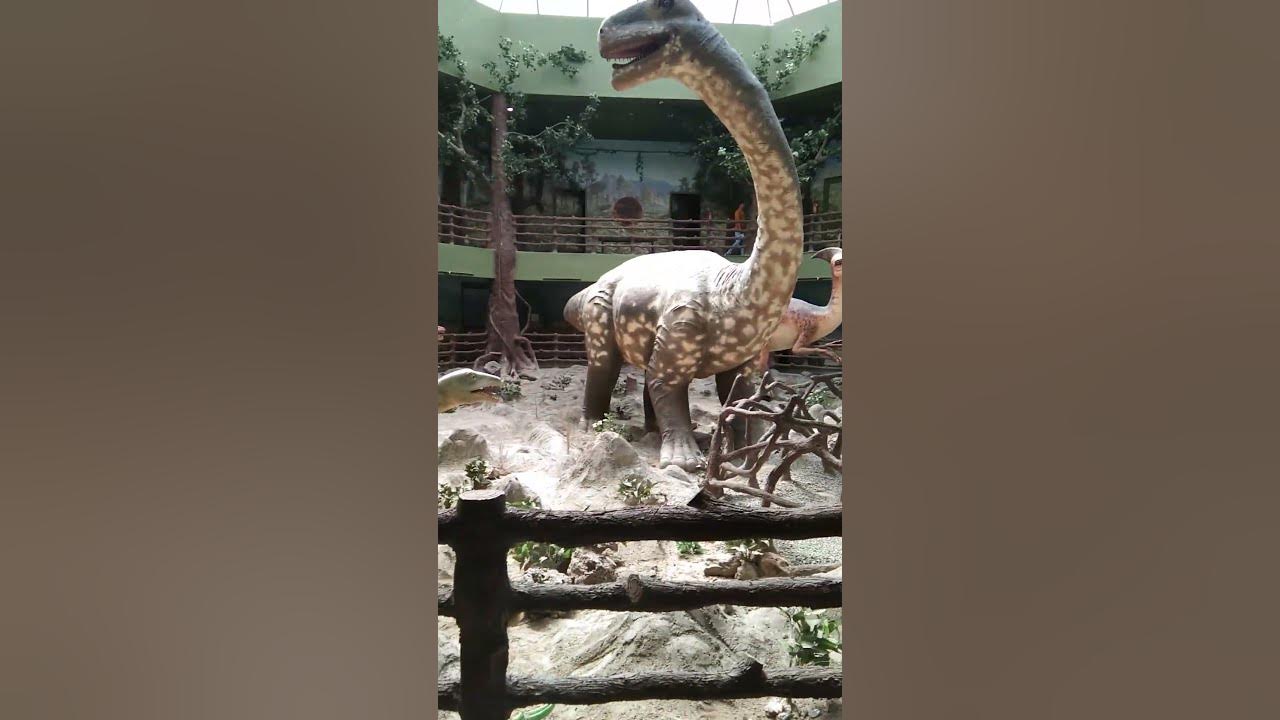 Dinosaur Fossil Park And Museum Balasinor Dinosaur Park Dinosaur dinosaur-fossil-park-and-museum-balasinor-dinosaur-park-dinosaur
