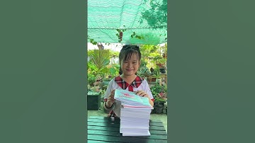 Học sinh lớp 1 đi tổng kết năm học và cái kết….