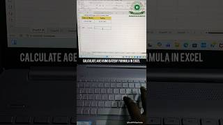 🎂 Calculate Age instantly in Microsoft Excel using the DATEDIF Formula!