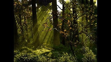 Forest painting with Procreate on iPad (timelapse)