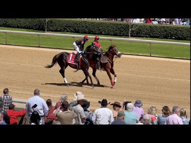 Mackins on Derby trail as Smile Happy takes Ky Jockey Club - Kentucky  Horsemen's Benevolent and Protective Association