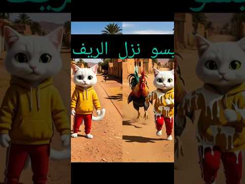 شاهد ماذا حدث لبيسو في الريف     