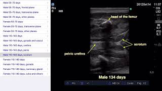 Advanced Equine Reproductive Ultrasound: App for iPhone and iPad screenshot 3