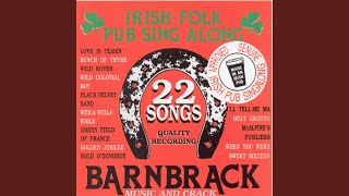 Watch Barnbrack When You Were Sweet Sixteen video