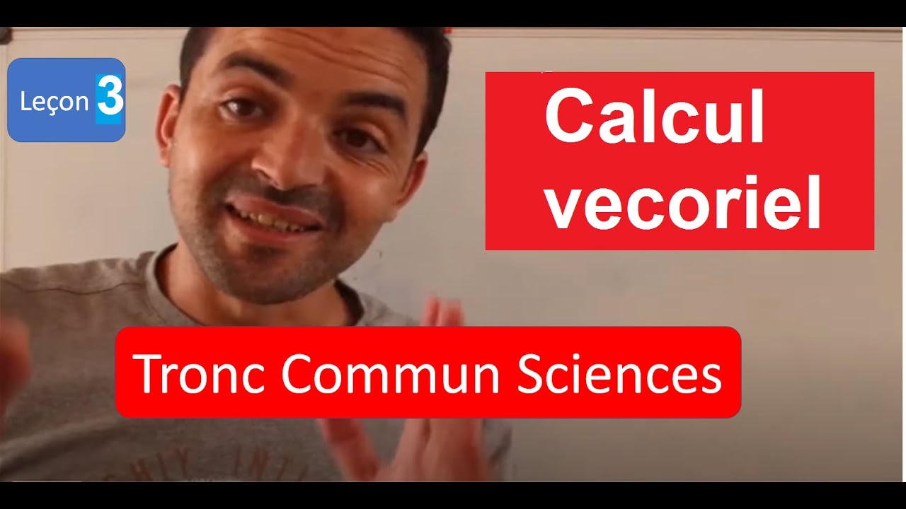 maths Tronc commun sciences  :  Calcul vectoriel