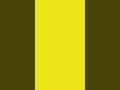 Bright Yellow Background #shorts #aesthetic #yellow