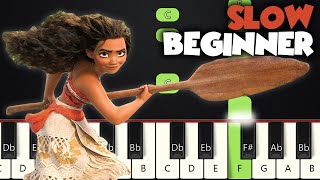 How Far I'll Go - Moana | SLOW BEGINNER PIANO TUTORIAL + SHEET MUSIC by Betacustic chords