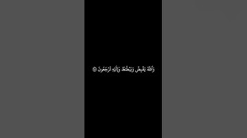 😔#القرآن_الكريم #الفرقان #الذكر #سورة_البقرة #ماجد_الدعوس #قرآن #القران_الكريم #quran #قران_كريم