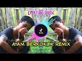 DJ AYAM BERKOKOK REMIX TIK TOK 2019