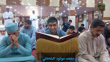 القارئ محمد مولود الشاماني تلاوة عراقيه مرئيه من الاية ٤١ سورة ص إلى الآية ١٠ سورة الزمر
