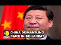 Sri Lankan MP warns Chinese President writes 45-point letter | Latest World English News | WION