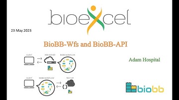 BioExcel Webinar #69: BioBB-Wfs and BioBB-API