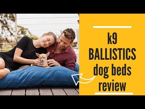dog-bed:k9-ballistics-dog-beds-review.best-christmas-gift-for-you-dog.