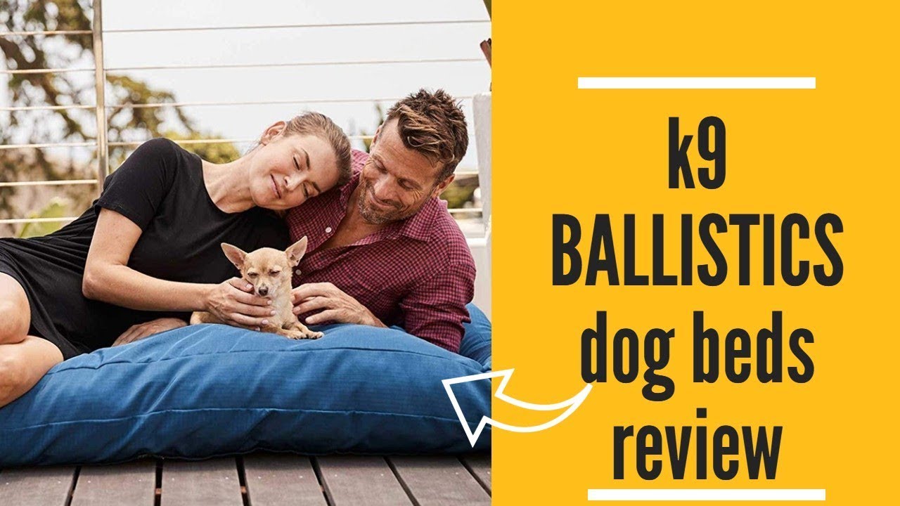 Dog Bedk9 BALLISTICS dog beds review.best Christmas gift for you dog