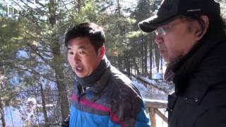Mt. Changbai Valley